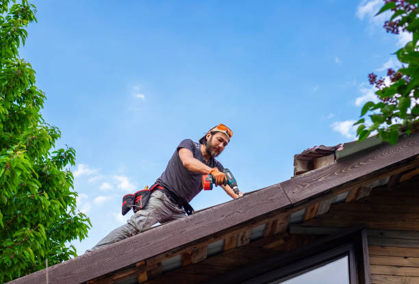 Best Roof Coating and Sealing  in Rice Lake, MN